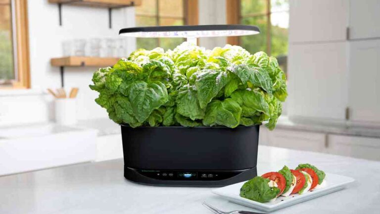 Smart gardening firm’s shutdown a reminder of Internet of Things’ fickle nature