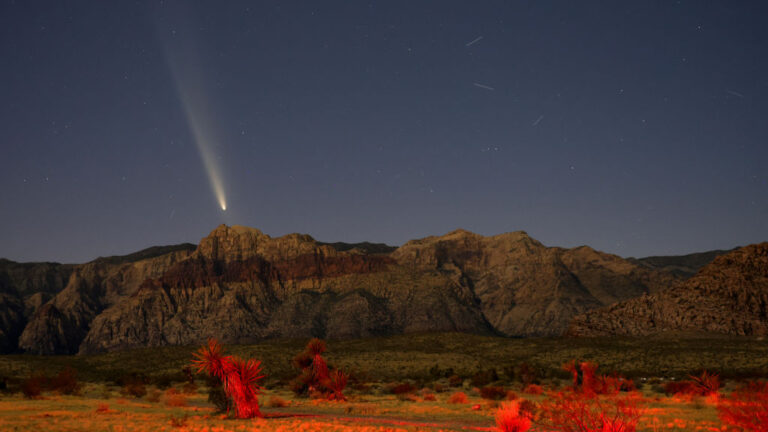 Two comets will be visible in the night skies this month