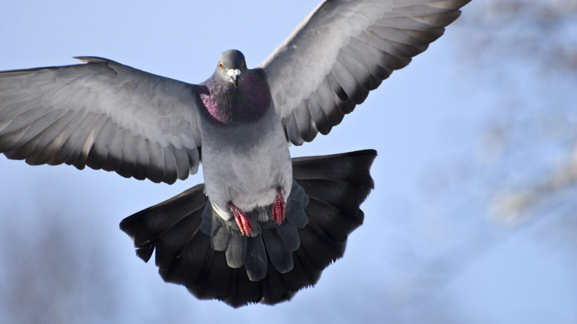 Teaching a drone to fly without a vertical rudder