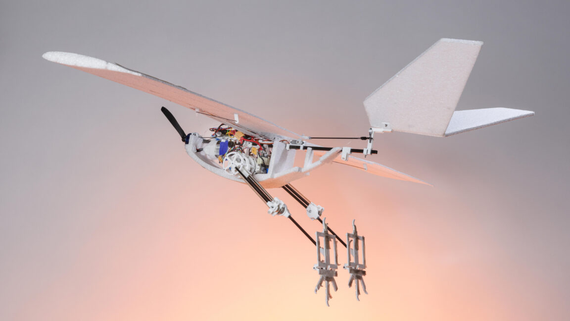 Robotic bird-like legs let drones hop over obstacles, launch to the skies