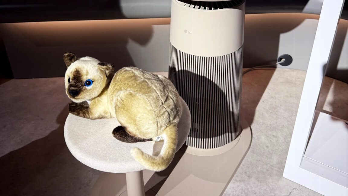 Three bizarre home devices and a couple good things at CES 2025